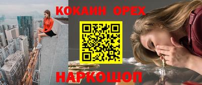 a pvp Камышлов